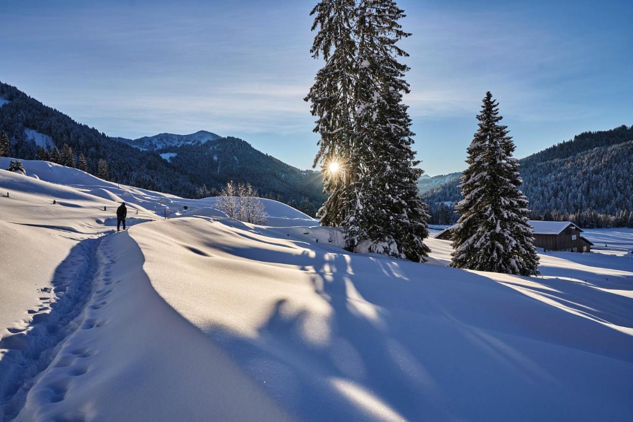 Hubertus Mountain Refugio Allgaeu Balderschwang Bagian luar foto
