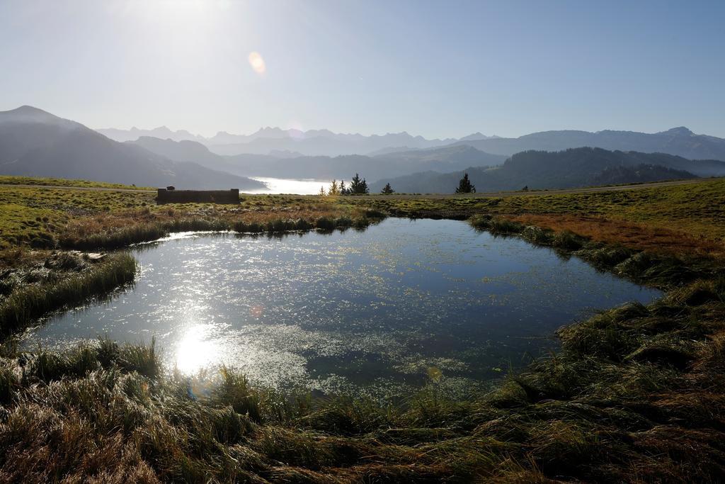 Hubertus Mountain Refugio Allgaeu Balderschwang Bagian luar foto